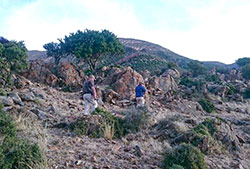 Hunt African Safaris