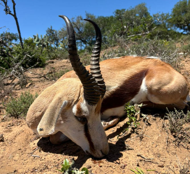 Hunting on a South African hunting safari